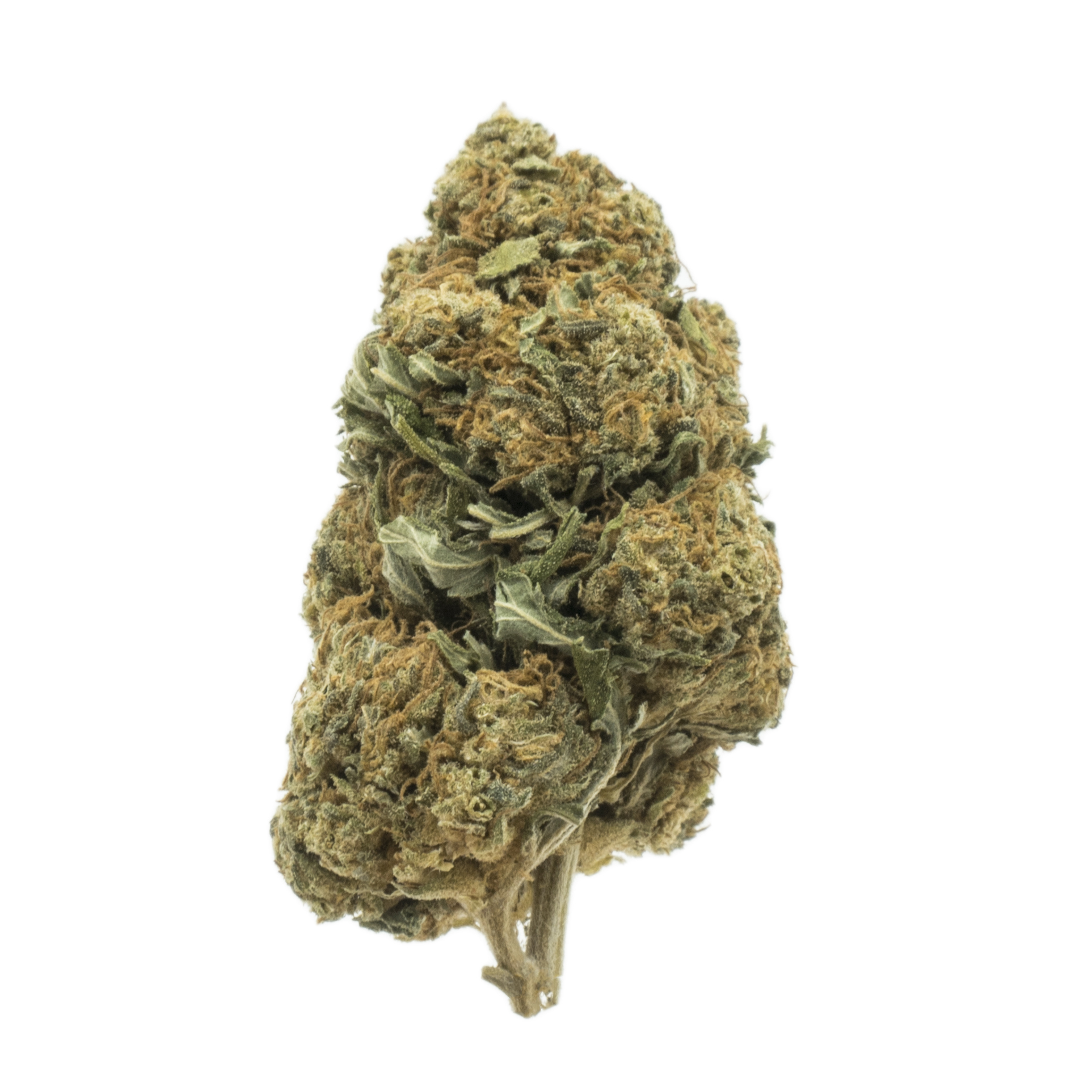 Candy Kush Marihuana CBD CBD